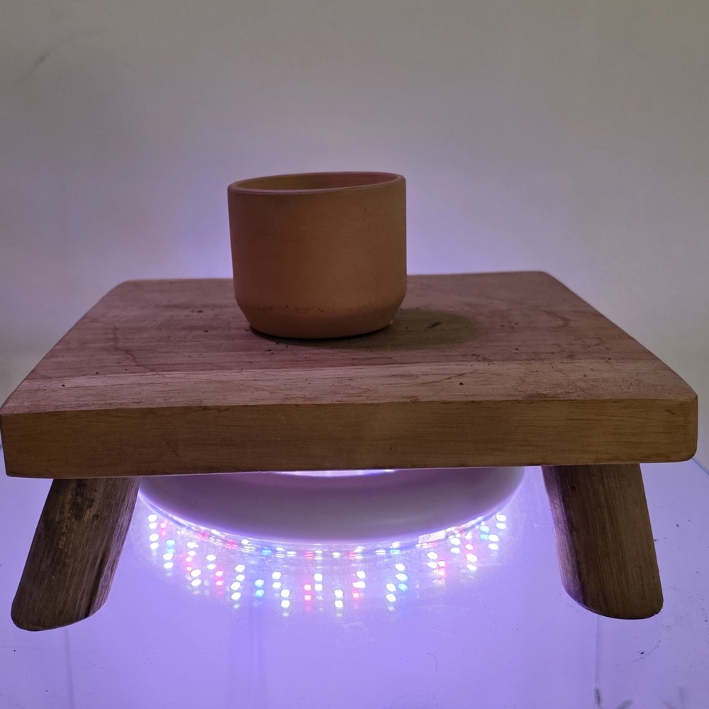 Terracotta Planter